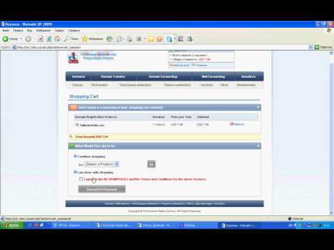 1DNS.RU დომენების Reseller #2 (2009)