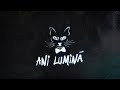 The Motans - Ani Lumina | Lyric Video