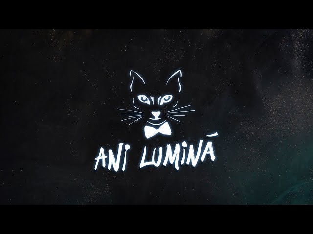 The Motans - Ani Lumina