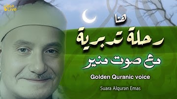تلاوة عذبة كالنسيم 😭 خشوع يبقى في الذاكرة ❤️ | Emotional Rare Tilawah