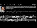 Weber: Piano Sonata No. 4 in E minor, Op. 70-I.  Moderato (Analysis)