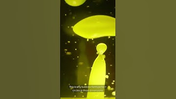 Why Are Bubbles Always Round? 🫧 | Amazing Science Facts #Shorts