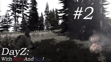 Arma 2: DayZ Mod - Friendly Fire