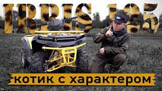 Квадроцикл Irbis Atv 125 для детей и взрослых. Котик с характером.