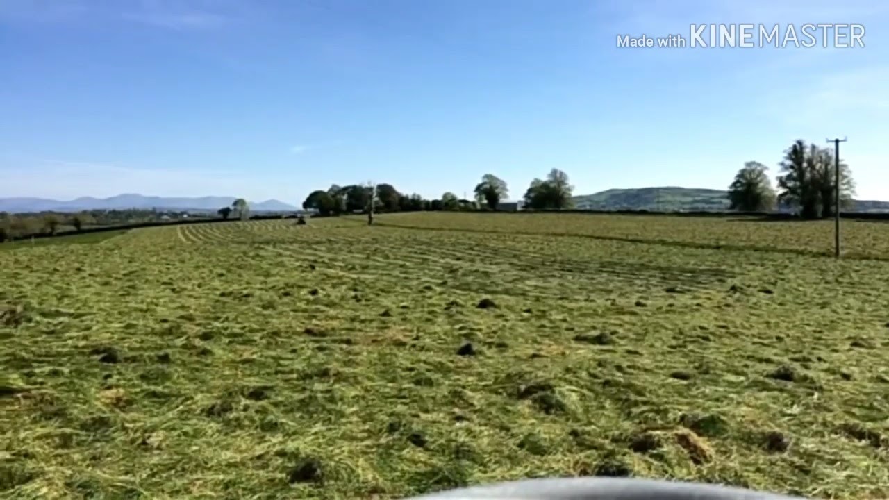 Silage2019 part2