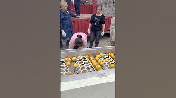 Automated Orange Sorting: Classification and Packaging for Transportation