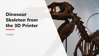 Psittacosaurus sibiricus - Duplicating a dinosaur skeleton via 3D printing