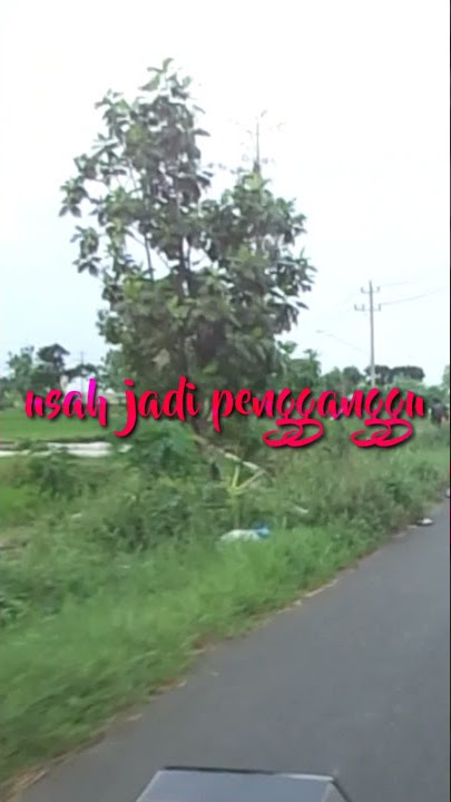 Status WA Story Instagram Jang Ganggu Itu Sa Punya SHINE OF BLACK
