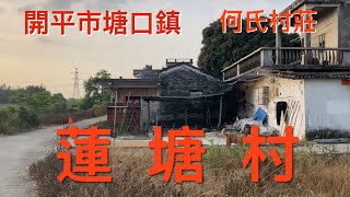 開平之行：拍攝開平市塘口鎮的蓮塘村，偏僻的村莊，自然的環境，民風淳樸，非常清靜，只有八個人的小村還有保存完整的碉樓，看看蓮塘村的風貌！