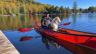 How to Train Your Dog for Canoeing