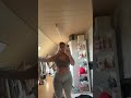 Big belly’s always win #chubby #plussize #curvy #selflove