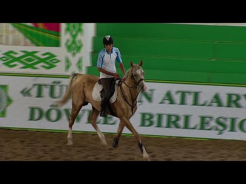 Video: Razza Cavallo Akhal-Teke Ipoallergenico, Salute E Durata Della Vita