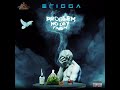 Erigga Problem No Dey Finish Official Audio HD mp3