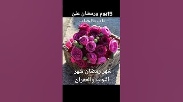 أجمل تلاوة صباحية 💗🌸صباح الخير والمغفرة💗 🌸 Good morning 🌸