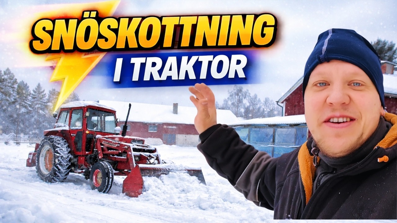 Snöskottning i Två Dygn – Mer Energi Än Jag Trodde