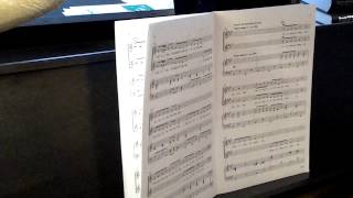 Nutcracker In About 3 Minutes by Mark Weston - Tenor