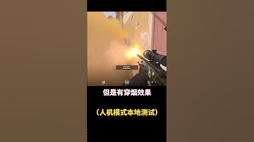 CS2测试阶段BUG，大狙打出了内格夫的感觉，十倍射速实属逆天！#cs2 #起源2 #csgo