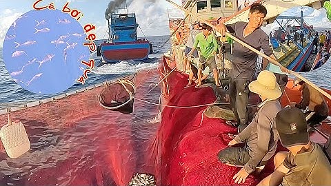 Cá ở gốc chà bơi tung tăng giữa trưa nắng gắt | Đánh cá 2024 - Tập 24 | Sóng biển Hứa Đông