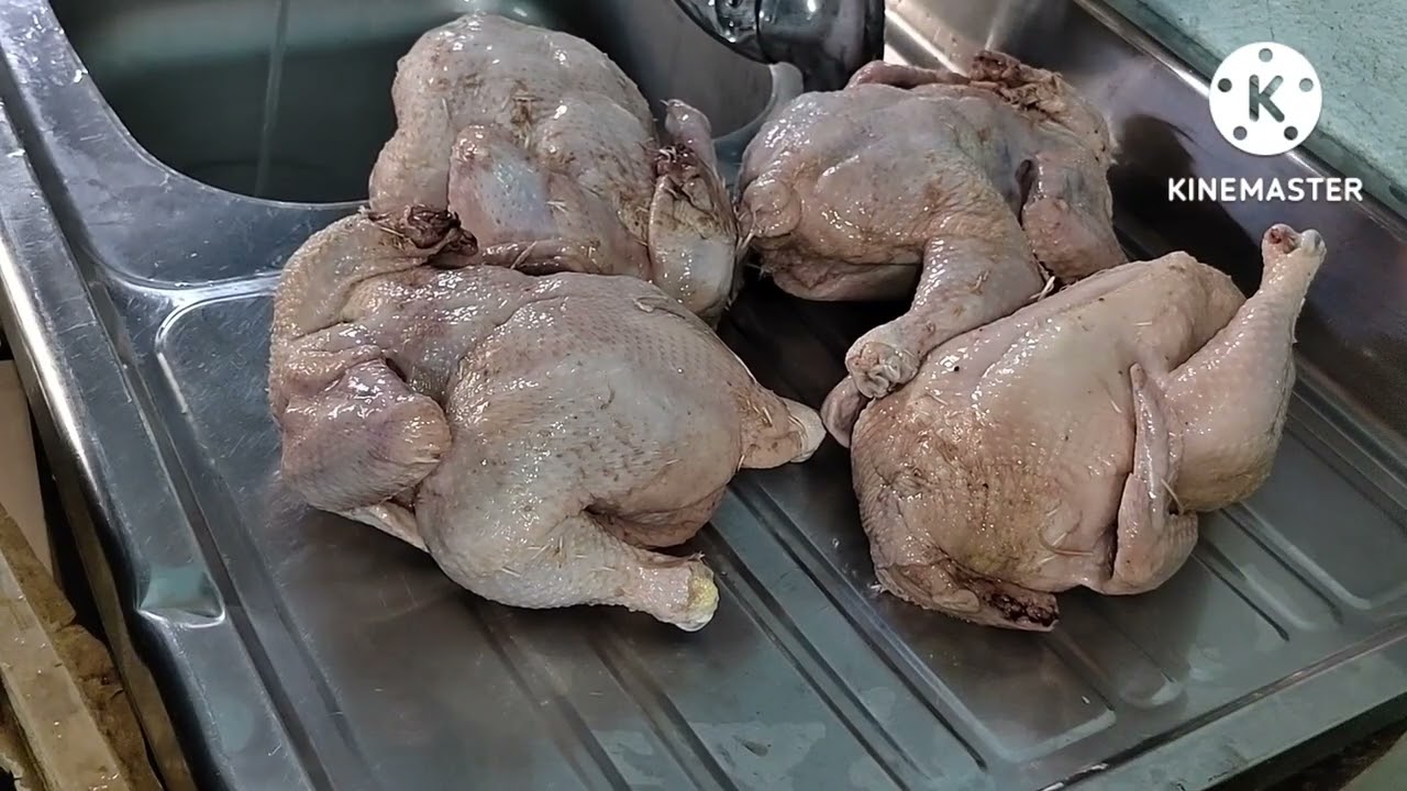 المسواك الشهري للبيت 🏚️تنضيف السمك 🐟والدجاج 🐔 ابني شيطان 🤗المربى التين