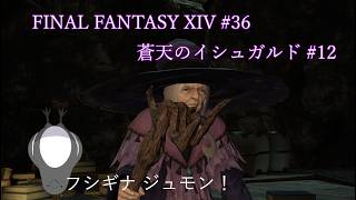 マトーヤ！マトーヤマトーヤマトーヤ！うおおおお【FINAL FANTASY XIV 】 #36【蒼天のイシュガルド#12】