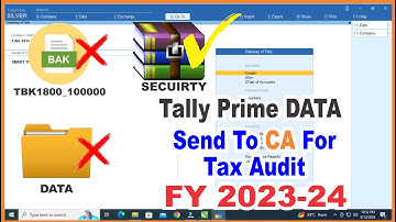 Tally Prime DATA Send To CA For Tax Audit fy 2023-24 | Tally Data send to CA for Tax Audit
