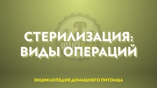 Стерилизация (часть 2): виды и особенности операций. Стерилизация (часть 2): виды и особенности операций.