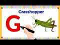 LETTER G | Writing letter G | G words for kids | Capital letter G | Educational video for kids| #abc