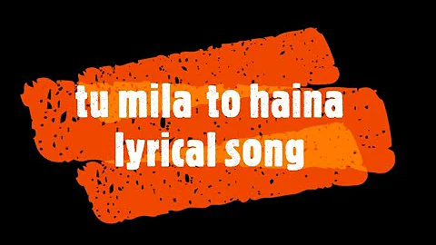 Tu mila to haina||Lyrical-song|de de pyar de|T-series.