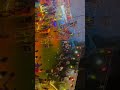    ناسك رحالة 23723938 53959656