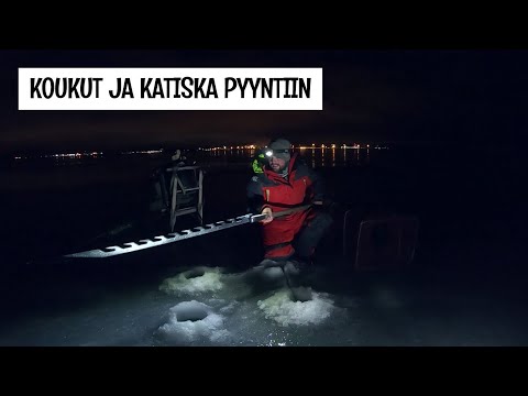 Video: Keitto Purkitettujen Herneiden Kanssa. Monipuolinen Keitto. Vaiheittainen Resepti Valokuvalla