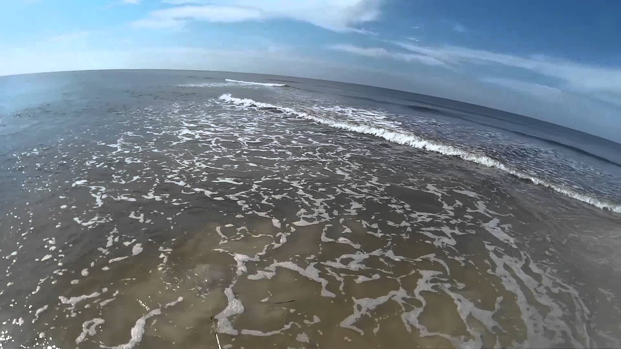 huge stingray caught at alligator point