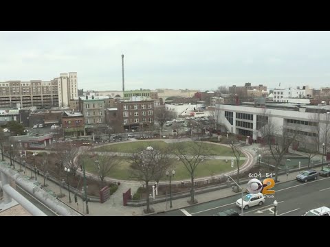 Residents Lobby Around New Rochelle Library