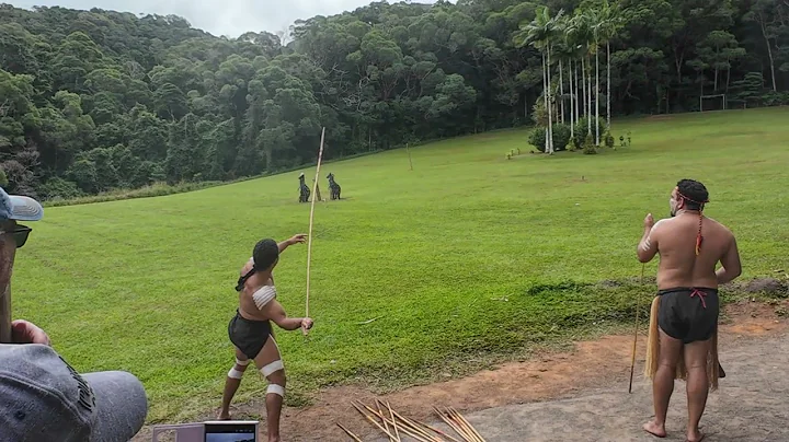 Aboriginal indigenous demonstration of spear throwing and hunting #onlyinaustralia #aboriginal