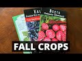 Things you can PLANT THIS FALL