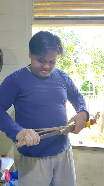 LANGKA!! MANDAU MANTIKEI!!!