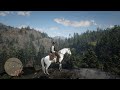 Red Dead Redemption 2. Арабская Белая, Чубарая тигровая, Красно рыжая. Седло, стремена, талисман.