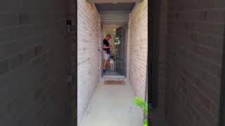 🚪 Bentley’s Door Manners: Mastered! 🐾 #doglovers #dogshorts #dogs #puppies #trending #fyp #shorts
