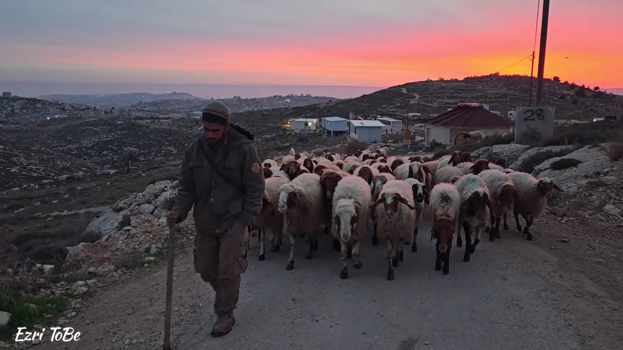 חוות העיטם - מתחברים לארץ דרך הידיים