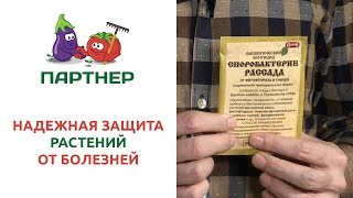 НАДЕЖНАЯ ЗАЩИТА РАСТЕНИЙ ОТ БОЛЕЗНЕЙ