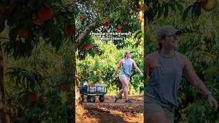 7 Popular Northern California U-Pick Farms In E County, California Explore E County