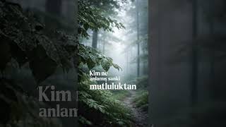 Kim ne anlamış mutluluktan? | Edip Cansever #şiir #edebiyat