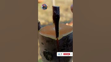 Tuyệt vời với cách ghép cây thành công #grafting