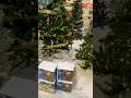 Grocery An Kid Socks run, Of Course I was At Aww at the Holiday section.Very #Festive #Vlog #shorts