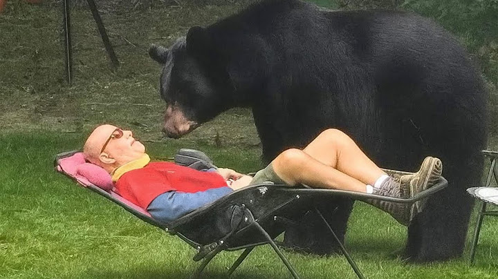 Funniest ANIMALS Videos 2025 will make you LAUGH YOUR HEAD OFF 😂