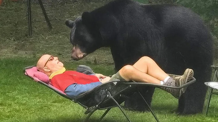 Funniest ANIMALS Videos 2025 will make you LAUGH YOUR HEAD OFF 😂 thumbnail