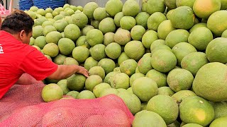 Amazing Giant Orange! Fresh Pomelo Fruit Cutting Skills