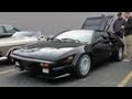 Lamborghini jalpa startup and accelerate