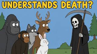 Do Animals Understand Death?