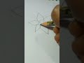 beautiful flowers 🌺 design || Easy flower 🌹 idea 😍#shorts #shortsfeed #art #drawing