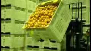 A.I.M. Forward Bin Tipper Operation.wmv